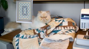 Quilting Round 2