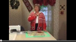 Fussy Cut – Eleanor Burns