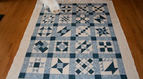Blue Bayou Quilt: Borders