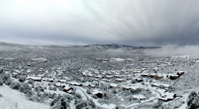 Why Did We Leave?