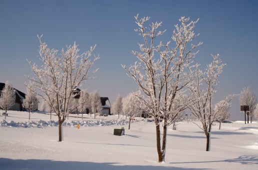 5. 10 am: Winter Wonderland #FebPhotoADay