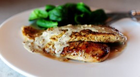 Chicken with Mustard Cream Sauce – The Pioneer Woman Cooks