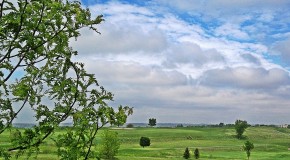 28 1pm #PhotoADayApril